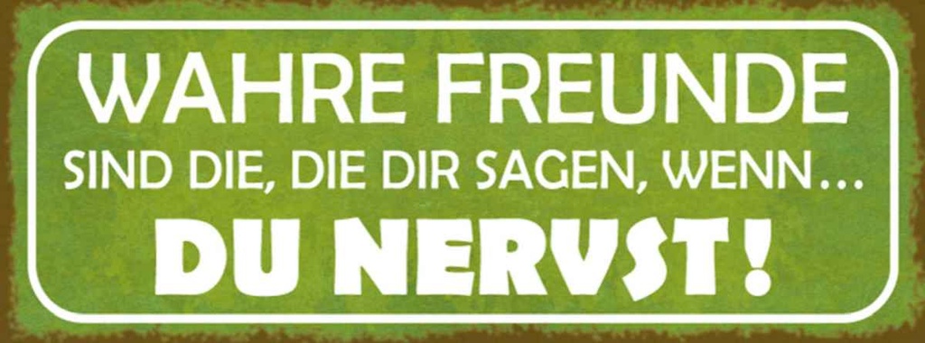 Holzschild 10x27 cm wahre Freunde sagen du nervst Familie