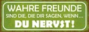 Holzschild 10x27 cm wahre Freunde sagen du nervst Familie