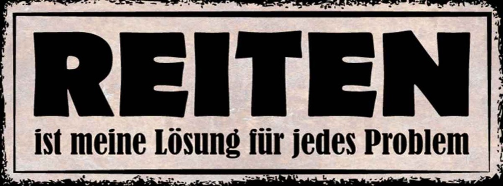 Holzschild 10x27 cm Reiten Lösung für jedes Problem Spruch Zitat