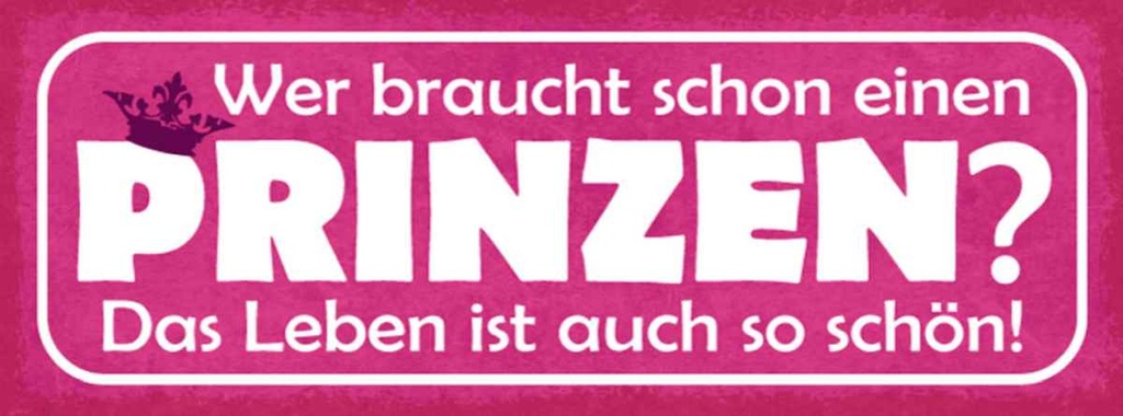 Holzschild 10x27 cm wer braucht schon einen Prinzen Spruch Zitat