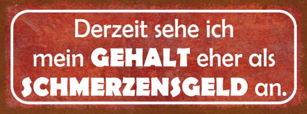 Holzschild 10x27 cm mein Gehalt eher Schmerzensgeld Spruch Zitat