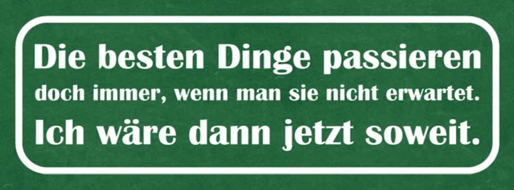 Holzschild 10x27 cm beste Dinge wenn nicht erwartet