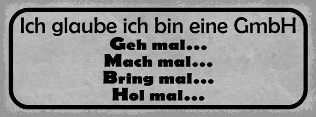 Holzschild 10x27 cm ich glaube bin eine GmbH geh mal Spruch Zitat