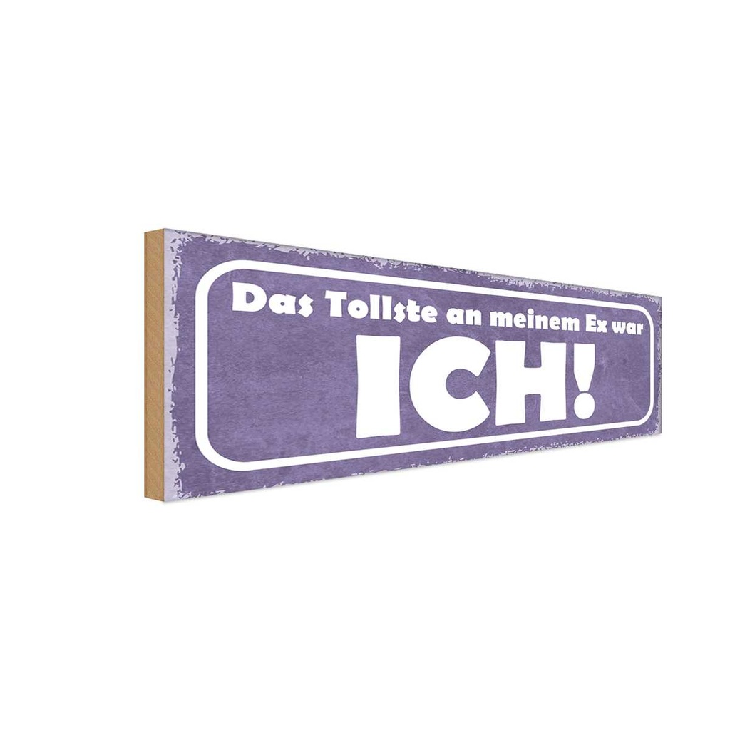 Holzschild 10x27 cm das tollste an meinem Ex was ICH Spruch Zitat