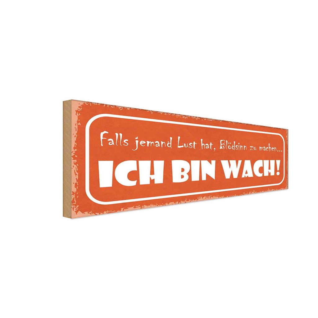 Holzschild 10x27 cm Blödsinn machen ich bin wach Dekoration