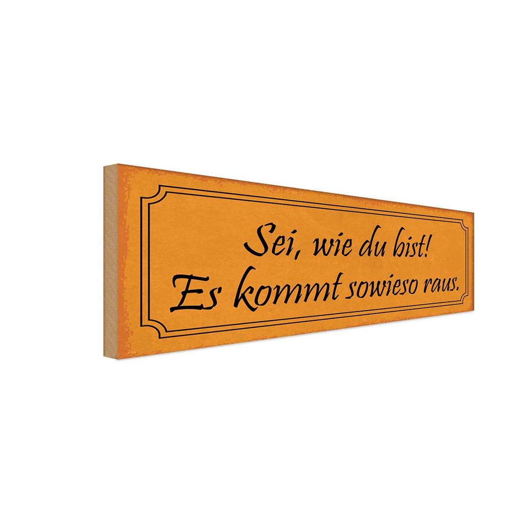 Holzschild 10x27 cm sei wie du bist es kommt sowieso Spruch Zitat
