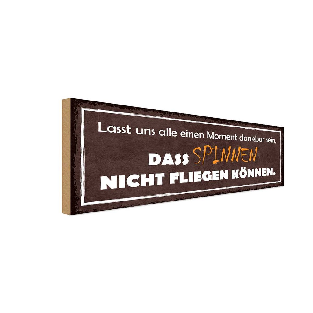 Holzschild 10x27 cm spinnen nicht fliegen können Dekoration