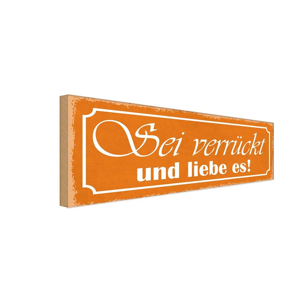 Holzschild 10x27 cm sei verrückt und liebe es Dekoration