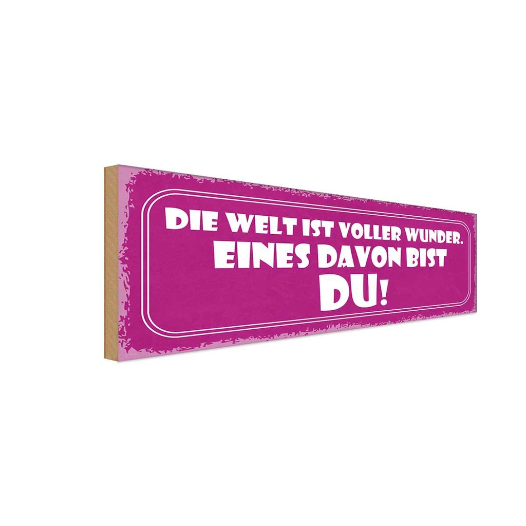 Holzschild 10x27 cm Welt voller Wunder eines bist DU Spruch Zitat