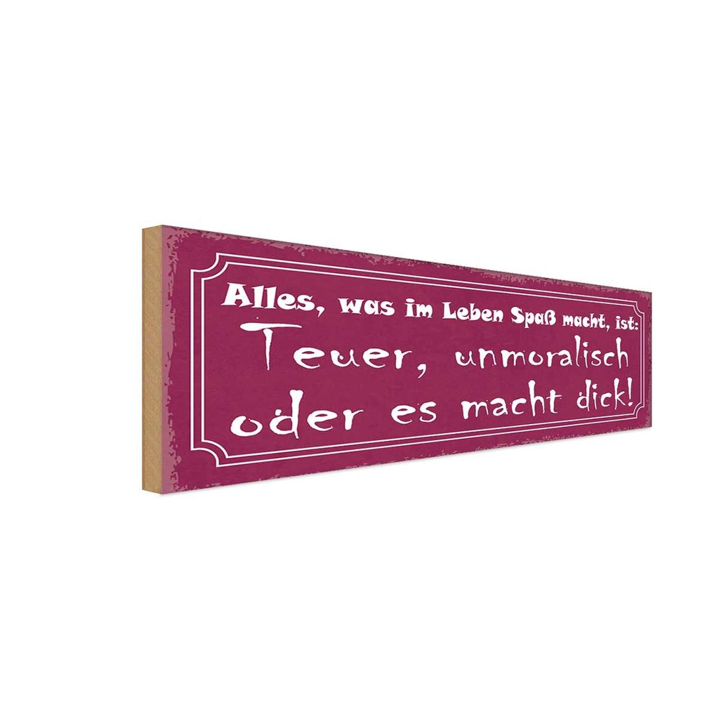 Holzschild 10x27 cm alles was Spaß teuer unmoralisch