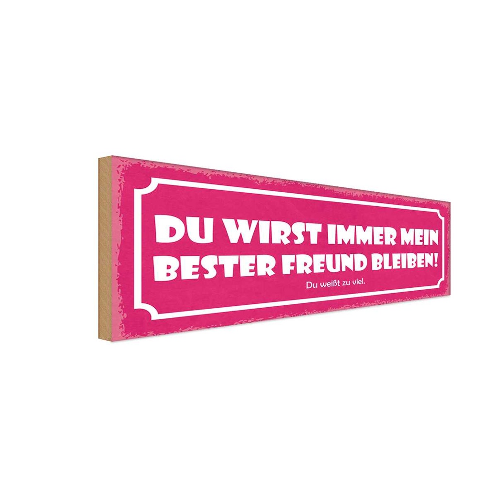 Holzschild 10x27 cm du immer mein bester Freund Familie Freunde