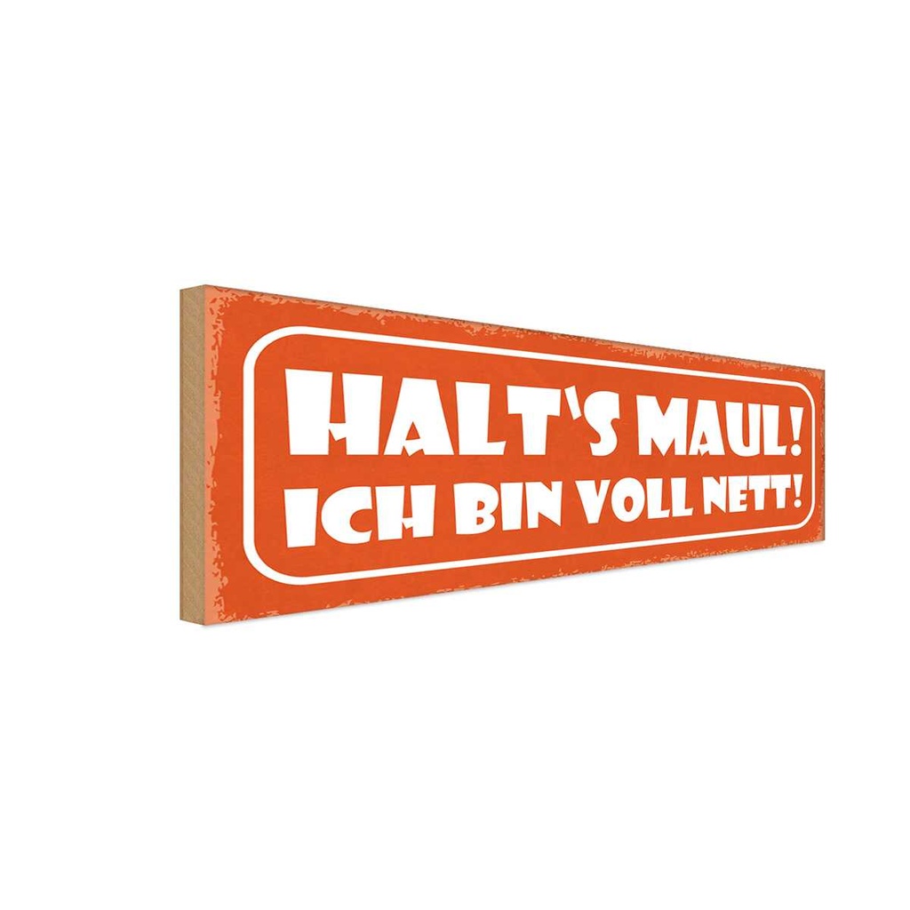 Holzschild 10x27 cm halt`s Maul ich bin voll nett Dekoration