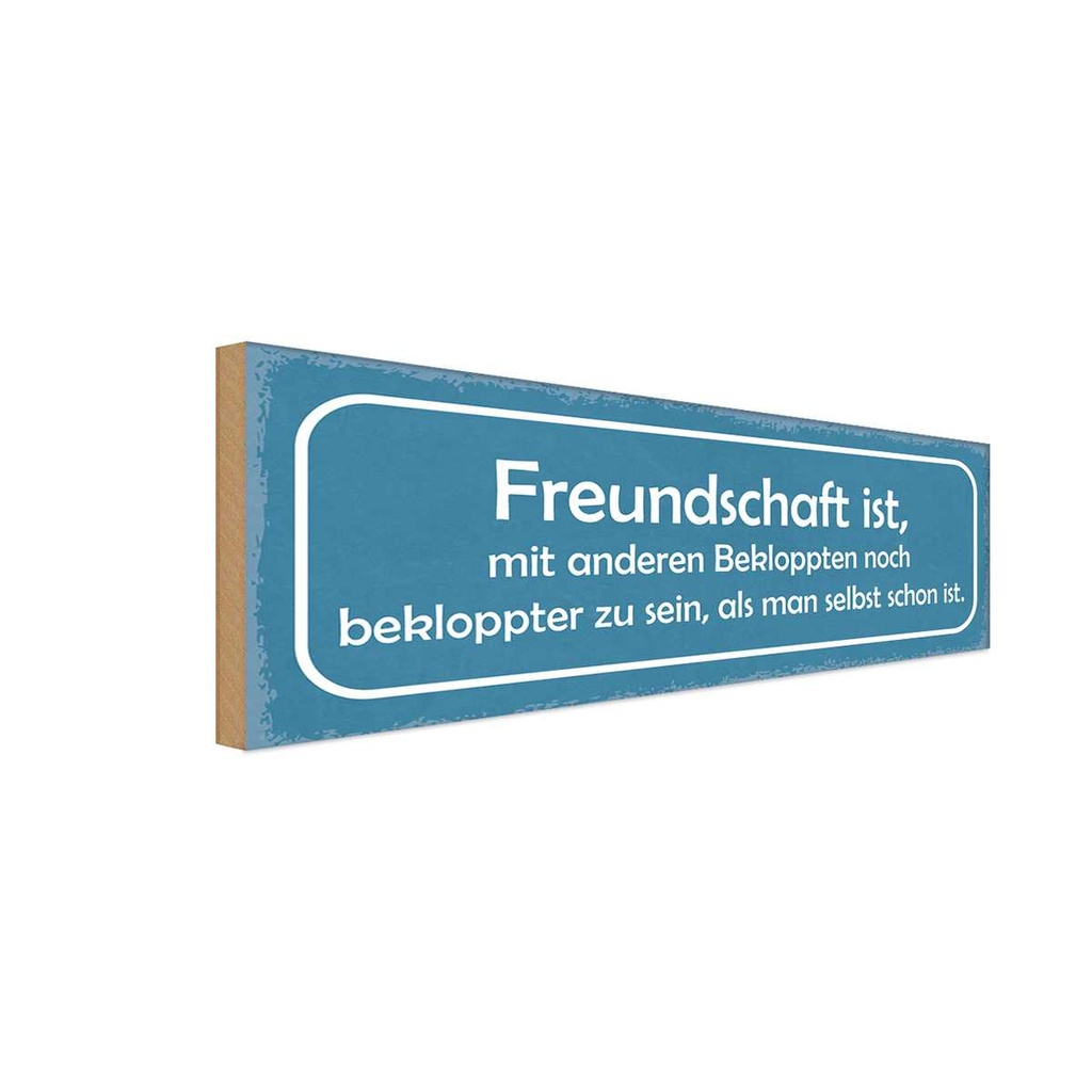 Holzschild 10x27 cm Freundschaft noch bekloppter Familie Freunde