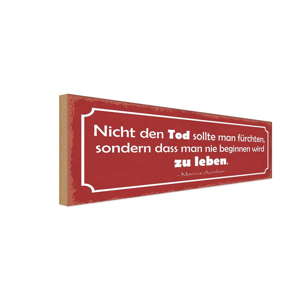Holzschild 10x27 cm Tod sollte man nicht fürchten Warnschild Hinweisschild