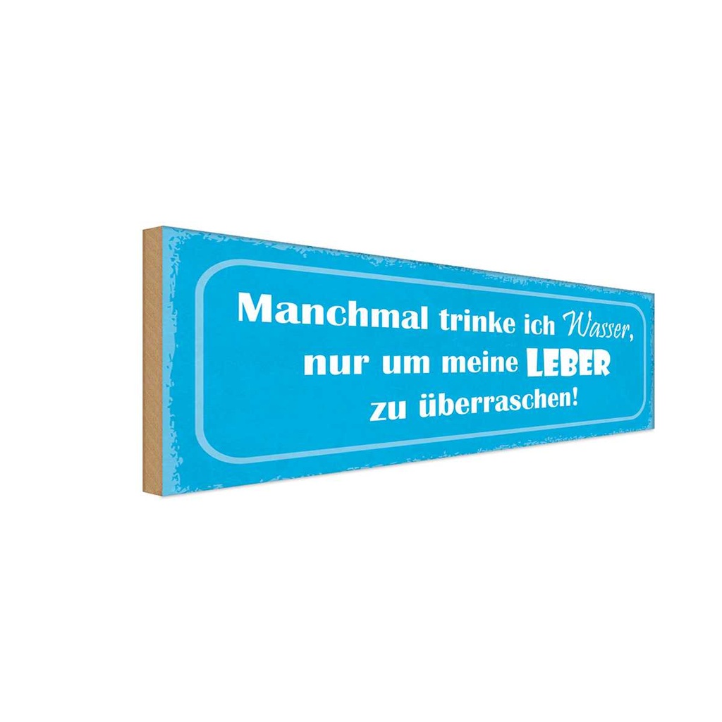 Holzschild 10x27 cm manchmal trinke Wasser um Leber Spruch Zitat
