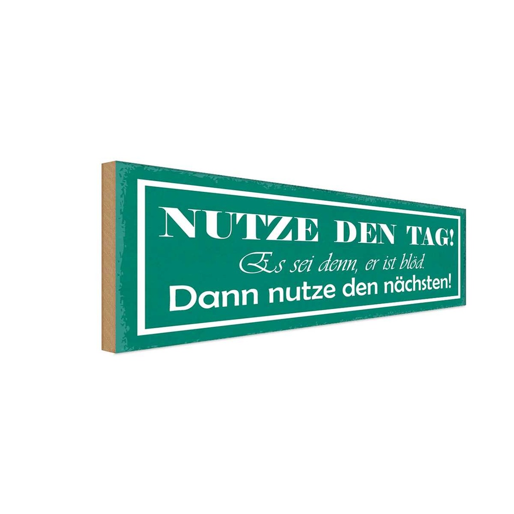 Holzschild 10x27 cm nutze den Tag es se er ist blöd Spruch Zitat