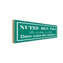 Holzschild 10x27 cm nutze den Tag es se er ist blöd Spruch Zitat