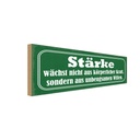 Holzschild 10x27 cm Stärke wächst nicht aus Kraft Dekoration