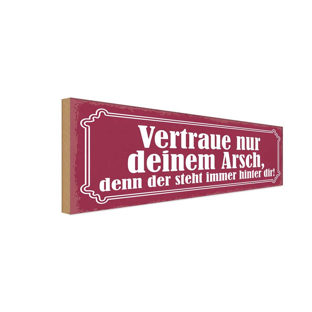 Holzschild 10x27 cm vertraue nur deinem Arsch denn Dekoration