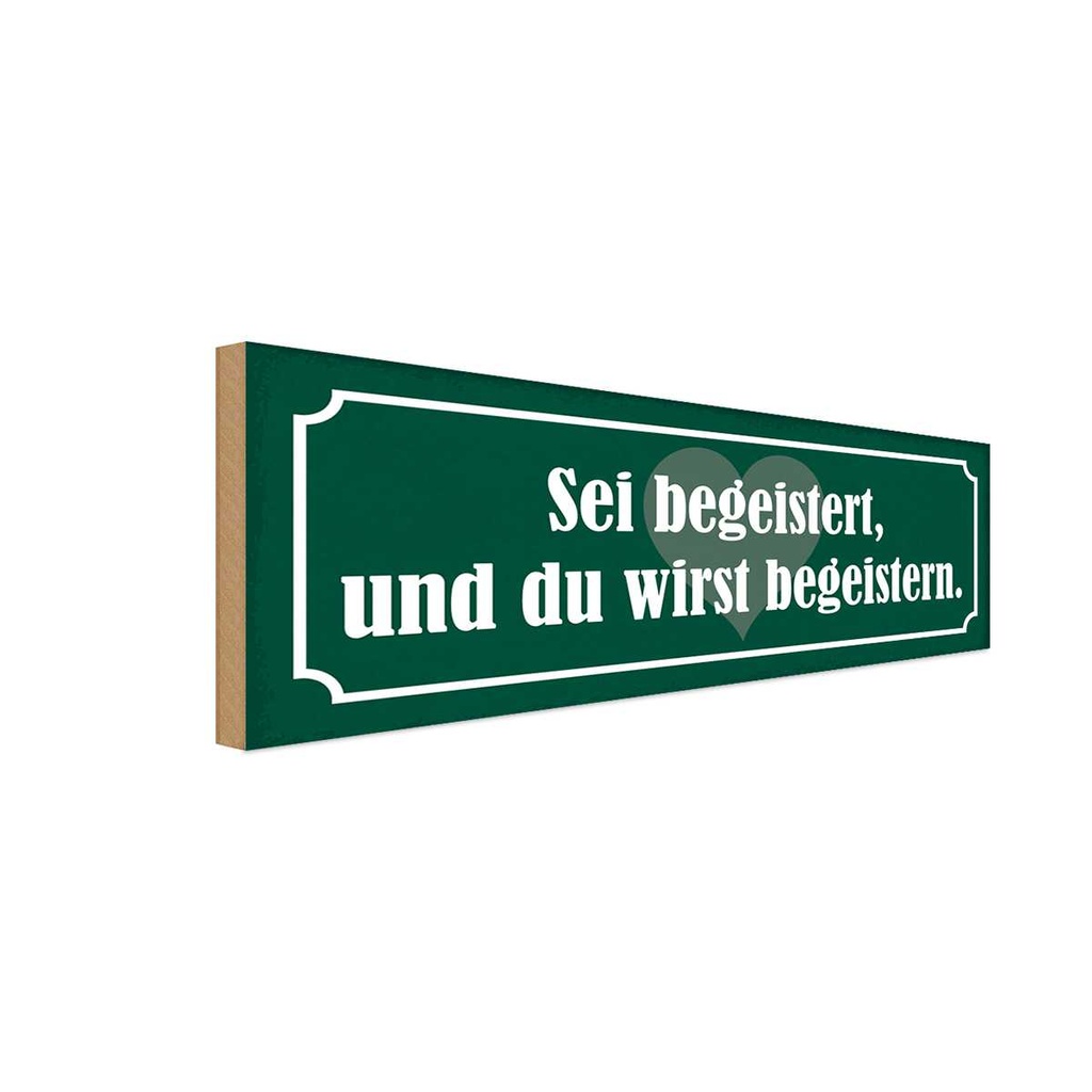 Holzschild 10x27 cm sei begeistert wirst begeistern Spruch Zitat