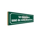Holzschild 10x27 cm sei begeistert wirst begeistern Spruch Zitat