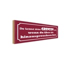 Holzschild 10x27 cm kennst deine Grenzen erst wenn Dekoration
