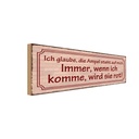 Holzschild 10x27 cm Ampel steht auf mich immer rot