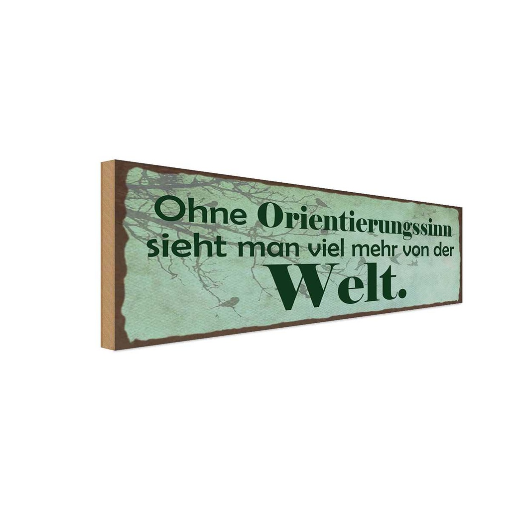 Holzschild 10x27 cm ohne Orientierungssinn sieht man Spruch Zitat