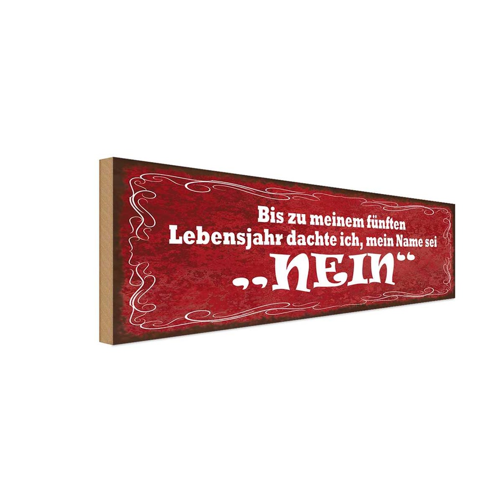Holzschild 10x27 cm Ich dachte mein Name sei NEIN Dekoration
