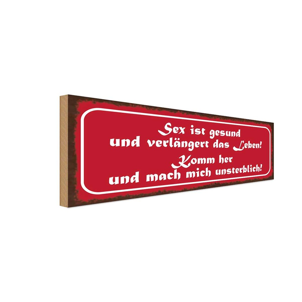 Holzschild 10x27 cm Sex ist gesund verlängert Leben Spruch Zitat
