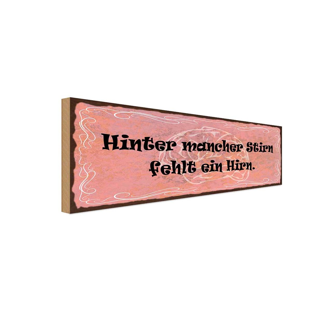 Holzschild 10x27 cm hinter mancher Stirn fehlt Hirn Spruch Zitat