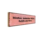 Holzschild 10x27 cm hinter mancher Stirn fehlt Hirn Spruch Zitat