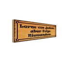 Holzschild 10x27 cm lerne von jedem folge niemandem Spruch Zitat