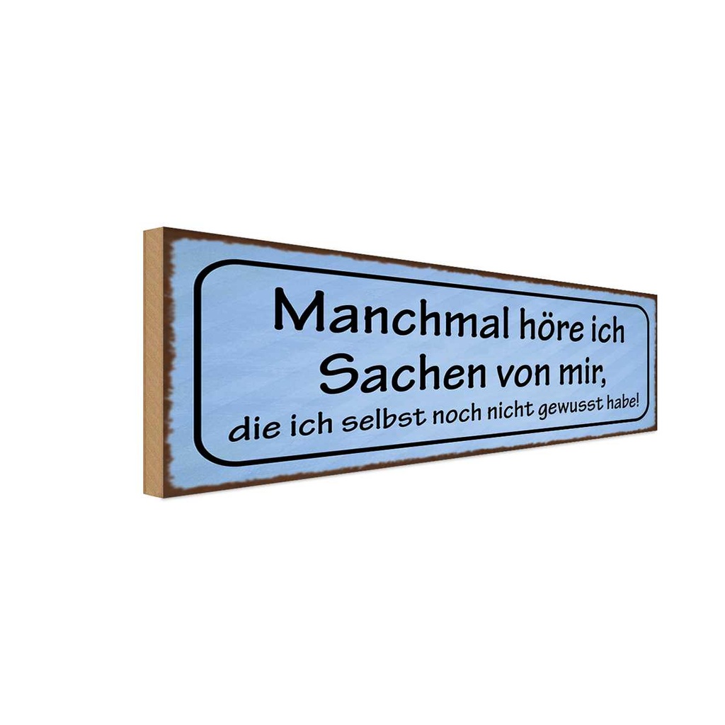 Holzschild 10x27 cm manchmal höre ich Sachen von mir Spruch Zitat