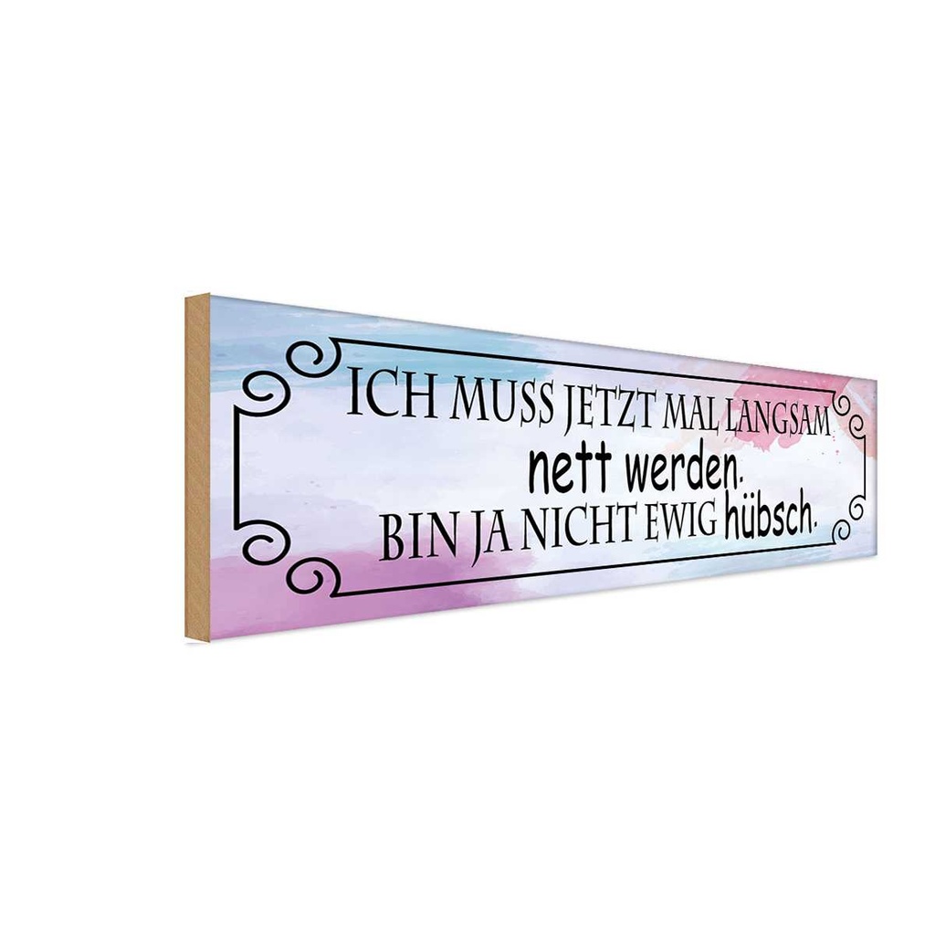 Holzschild 10x27 cm ich muss mal langsam nett werden Spruch Zitat