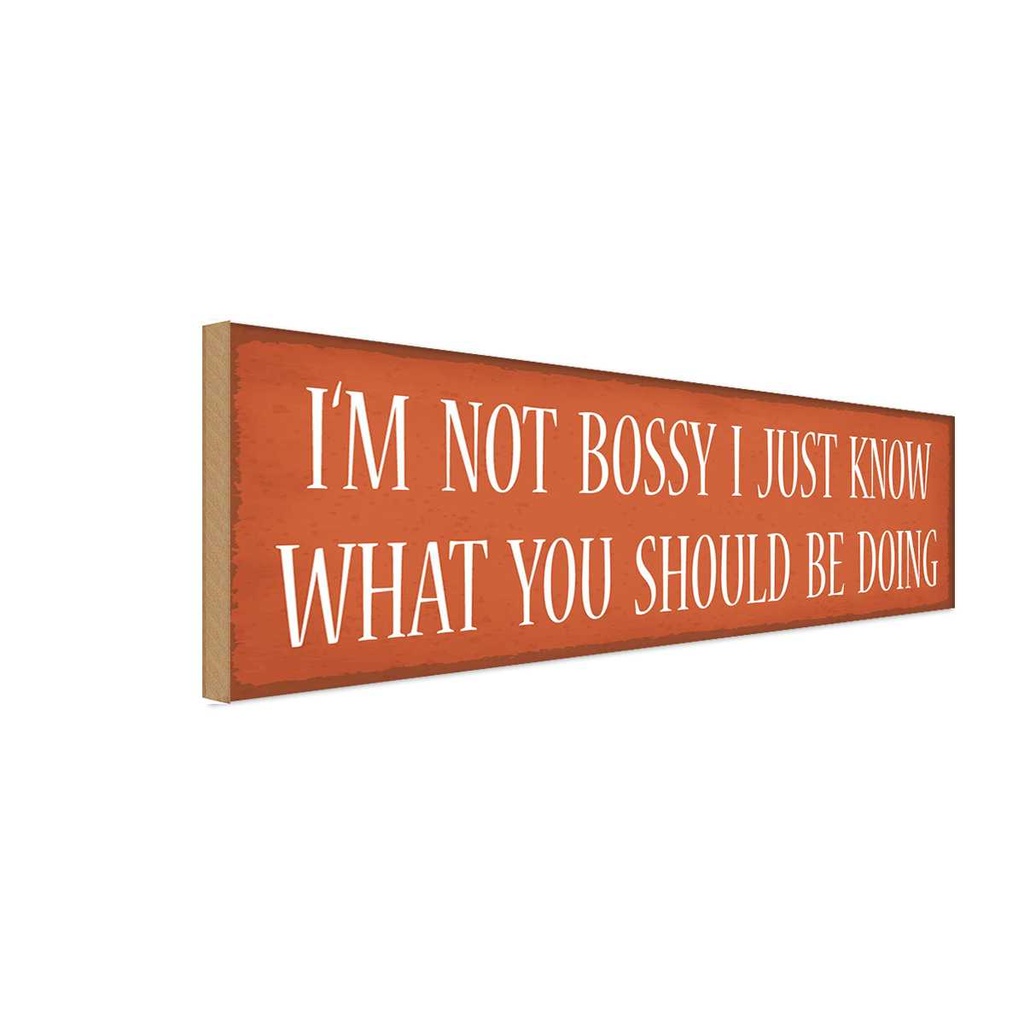 Holzschild 10x27 cm i`m not bossy i just know what Dekoration