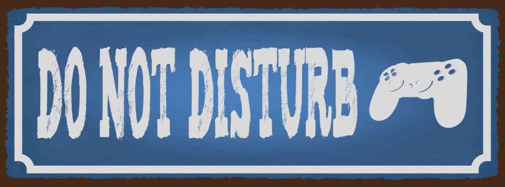 Holzschild 10x27 cm do not disturb nicht stören Dekoration
