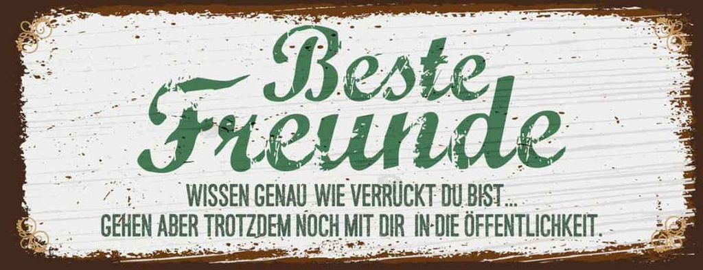 Holzschild 10x27 cm Beste Freunde verrückt wissen genau