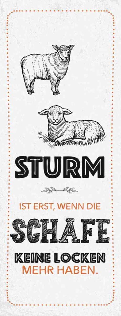 Holzschild 27x10 cm lustig Sturm wenn Schafe Locken Witz Humor Spaß