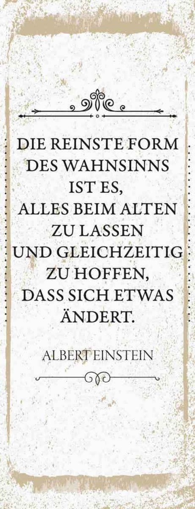 Holzschild 27x10 cm Einstein reinste Form Wahnsinns Spruch Zitat