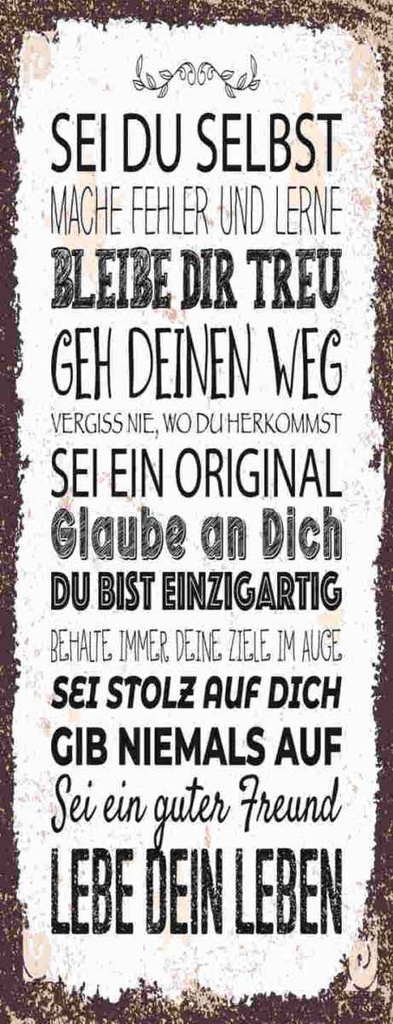 Holzschild 27x10 cm Sei du selbst mache Fehler lerne Spruch Zitat