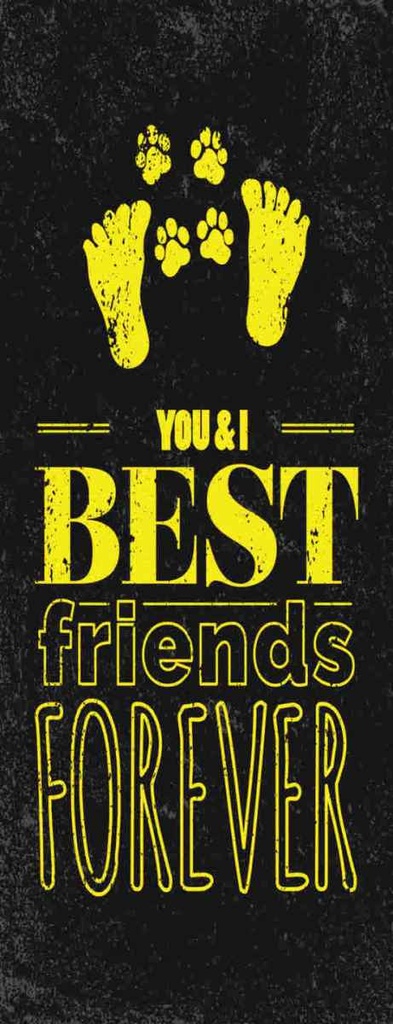 Holzschild 27x10 cm Freunde You I best friends forever Spruch Zitat