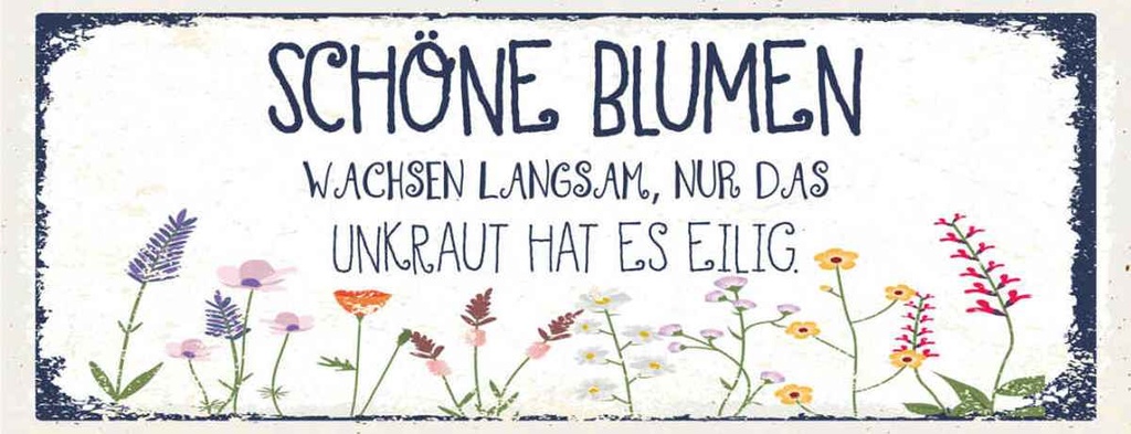 Holzschild 10x27 cm schöne Blumen wachsen langsam Dekoration