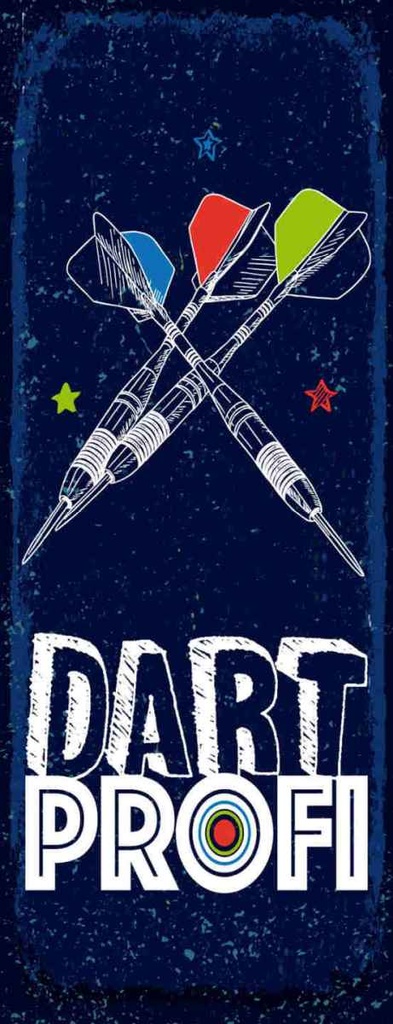 Holzschild 27x10 cm Dart Profi Dartpfeile Sport Hobby