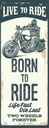 Holzschild 27x10 cm Biker Motorrad born to ride Sport Hobby