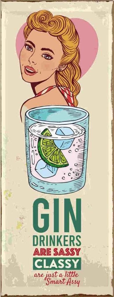 Holzschild 27x10 cm Gin Drinkers are sassy classy Essen Trinken