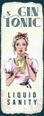 Holzschild 27x10 cm Gin & Tonic Liquid Sanity Essen Trinken