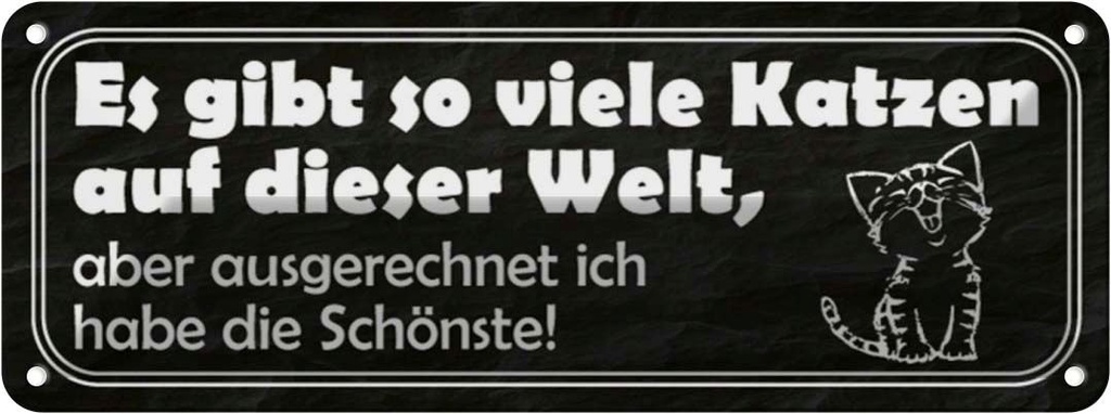 Blechschild 10x27 cm es gibt so vile Katzen auf Welt Spruch Zitat