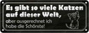 Blechschild 10x27 cm es gibt so vile Katzen auf Welt Spruch Zitat