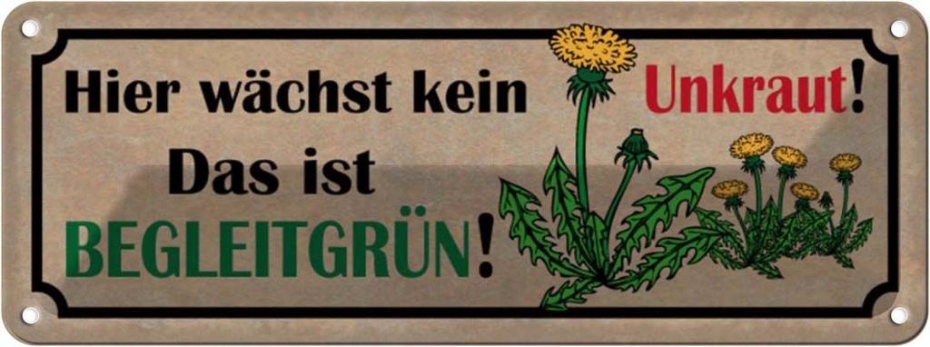 Blechschild 10x27 cm hier wächst kein Unkraut das ist Spruch Zitat